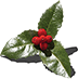 Holly