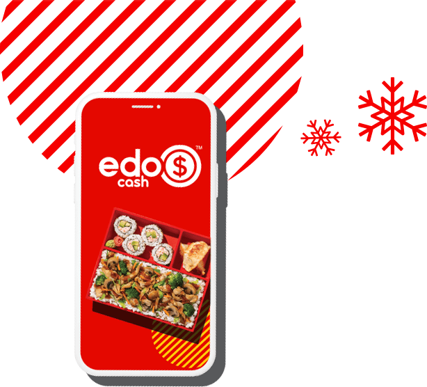 Edo Cash Phone with Edocons